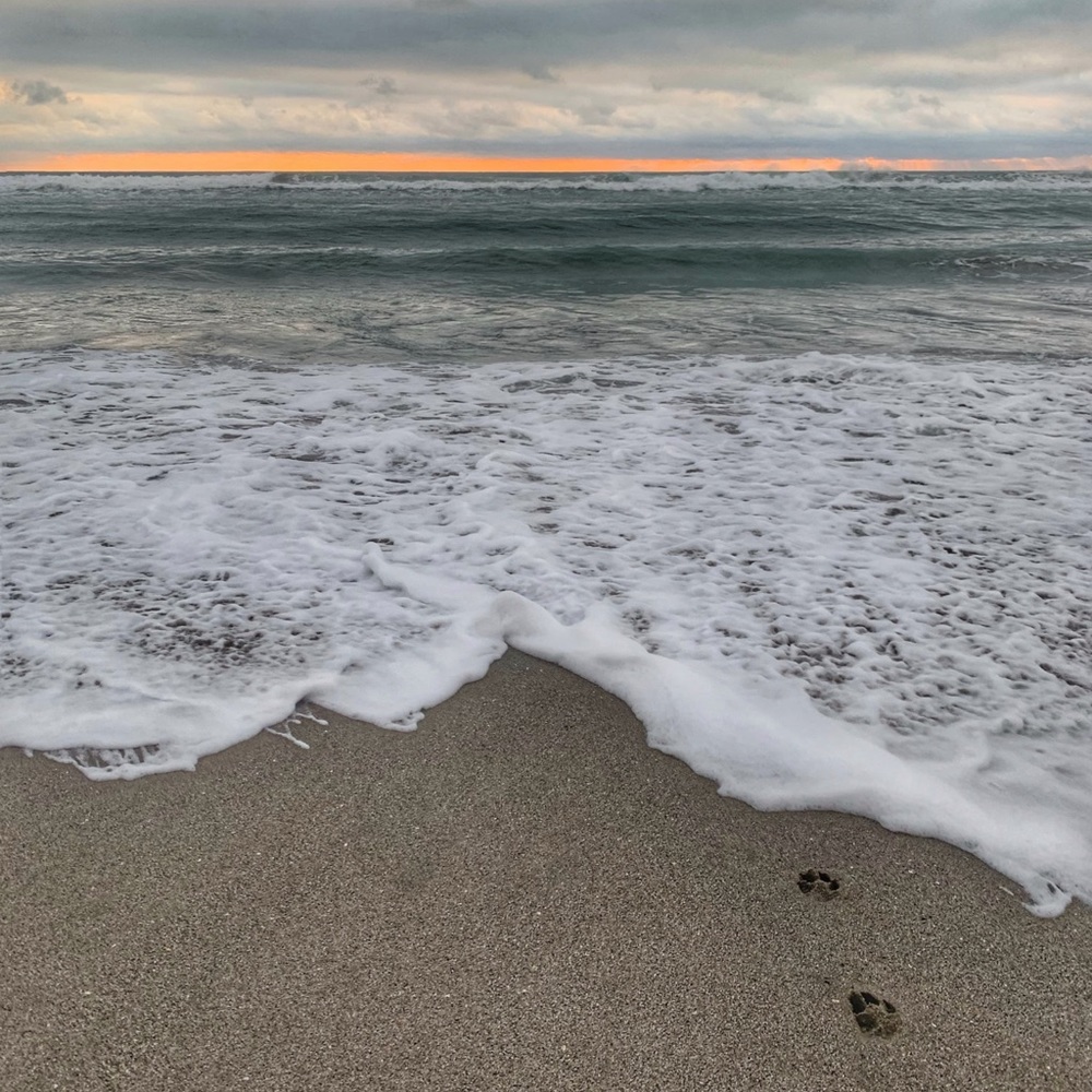 Meet your Posher, Juliana